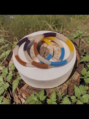 10/ $10 New Plunder Resin Bangle Set in Blue, Yellow, Brown, Purple